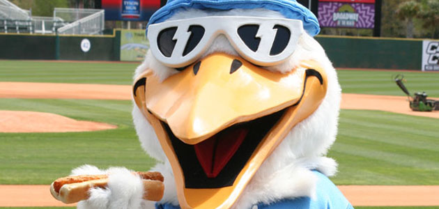 Myrtle Beach Pelicans - A Day At The Ballpark