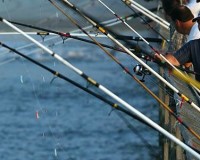 What you need to know about Pier Fishing in Myrtle Beach, SC - North Beach  Resort and Villas
