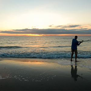 What to Know About Myrtle Beach Surf-casting - North Beach Resort