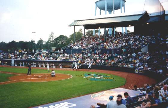 Enjoy a Night at the Ballpark with Myrtle Beach Pelicans - North Beach  Resort and Villas